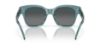 Picture of Costa Del Mar Sunglasses 6S2016