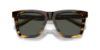 Picture of Costa Del Mar Sunglasses 6S2015