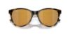 Picture of Costa Del Mar Sunglasses 6S2012