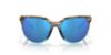 Picture of Costa Del Mar Sunglasses 6S9110