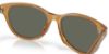 Picture of Costa Del Mar Sunglasses 6S2012