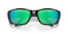Picture of Costa Del Mar Sunglasses 6S9054