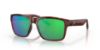 Picture of Costa Del Mar Sunglasses 6S9049
