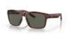 Picture of Costa Del Mar Sunglasses 6S9049