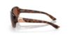 Picture of Costa Del Mar Sunglasses 6S9041