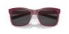 Picture of Costa Del Mar Sunglasses 6S9028