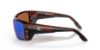 Picture of Costa Del Mar Sunglasses 6S9022
