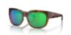 Picture of Costa Del Mar Sunglasses 6S9019