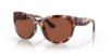 Picture of Costa Del Mar Sunglasses 6S9011