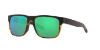 Picture of Costa Del Mar Sunglasses 6S9008