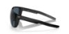 Picture of Costa Del Mar Sunglasses 6S9002