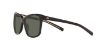Picture of Costa Del Mar Sunglasses 6S2009