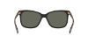 Picture of Costa Del Mar Sunglasses 6S2009