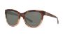 Picture of Costa Del Mar Sunglasses 6S2004