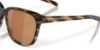 Picture of Costa Del Mar Sunglasses 6S2009