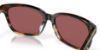 Picture of Costa Del Mar Sunglasses 6S2009