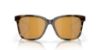 Picture of Costa Del Mar Sunglasses 6S2009