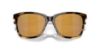 Picture of Costa Del Mar Sunglasses 6S2009