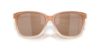 Picture of Costa Del Mar Sunglasses 6S2009