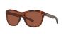 Picture of Costa Del Mar Sunglasses 6S9027