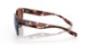 Picture of Costa Del Mar Sunglasses 6S9051
