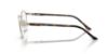 Picture of Starck Biotech Paris Eyeglasses SH2076