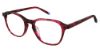 Picture of 2Bb Eyeglasses GWEN 2BB