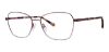 Picture of Adensco Eyeglasses AD 249