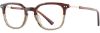 Picture of Adin Thomas Eyeglasses AT-576