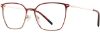 Picture of Adin Thomas Eyeglasses AT-570
