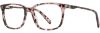 Picture of Adin Thomas Eyeglasses AT-550