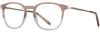 Picture of Adin Thomas Eyeglasses AT-538