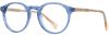Picture of Adin Thomas Eyeglasses AT-460