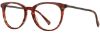 Picture of Adin Thomas Eyeglasses AT-442