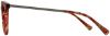 Picture of Adin Thomas Eyeglasses AT-442