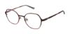 Picture of Aeropostale Eyeglasses Unique