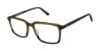 Picture of Aeropostale Eyeglasses Aero1011