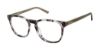 Picture of Aeropostale Eyeglasses Aero1005