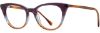 Picture of Alan J Eyeglasses AJ-516