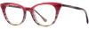 Picture of Alan J Eyeglasses AJ-516