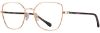 Picture of Alan J Eyeglasses AJ-508