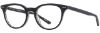 Picture of Alan J Eyeglasses AJ-134