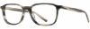 Picture of Alan J Eyeglasses AJ-122
