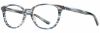 Picture of Alan J Eyeglasses AJ-114