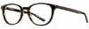 Picture of Alan J Eyeglasses AJ-114