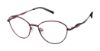 Picture of Alexander Collection Eyeglasses Amelia