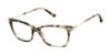 Picture of Alexander Collection Eyeglasses Delaney