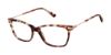 Picture of Alexander Collection Eyeglasses Delaney