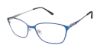 Picture of Alexander Collection Eyeglasses Sawyer