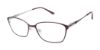 Picture of Alexander Collection Eyeglasses Sawyer